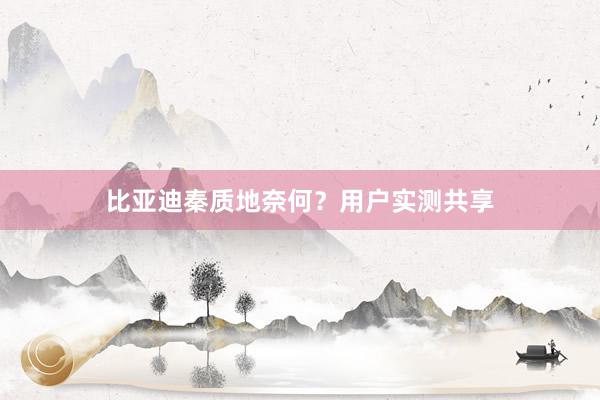 比亚迪秦质地奈何？用户实测共享