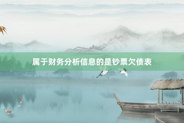 属于财务分析信息的是钞票欠债表